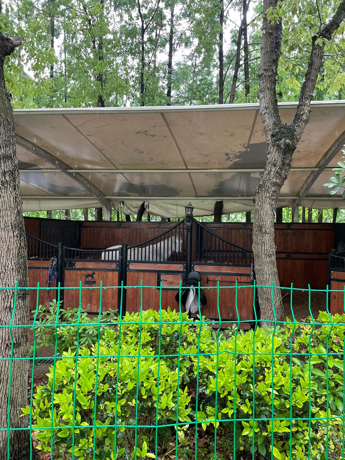 香梅和平御园-西门