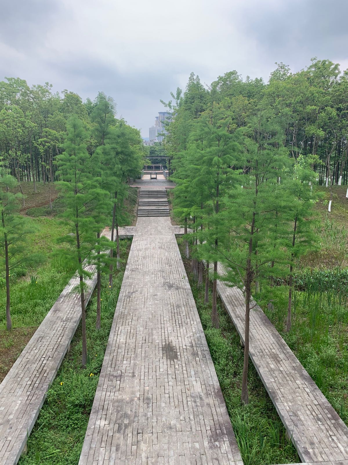 义乌江滨绿廊公园城北路