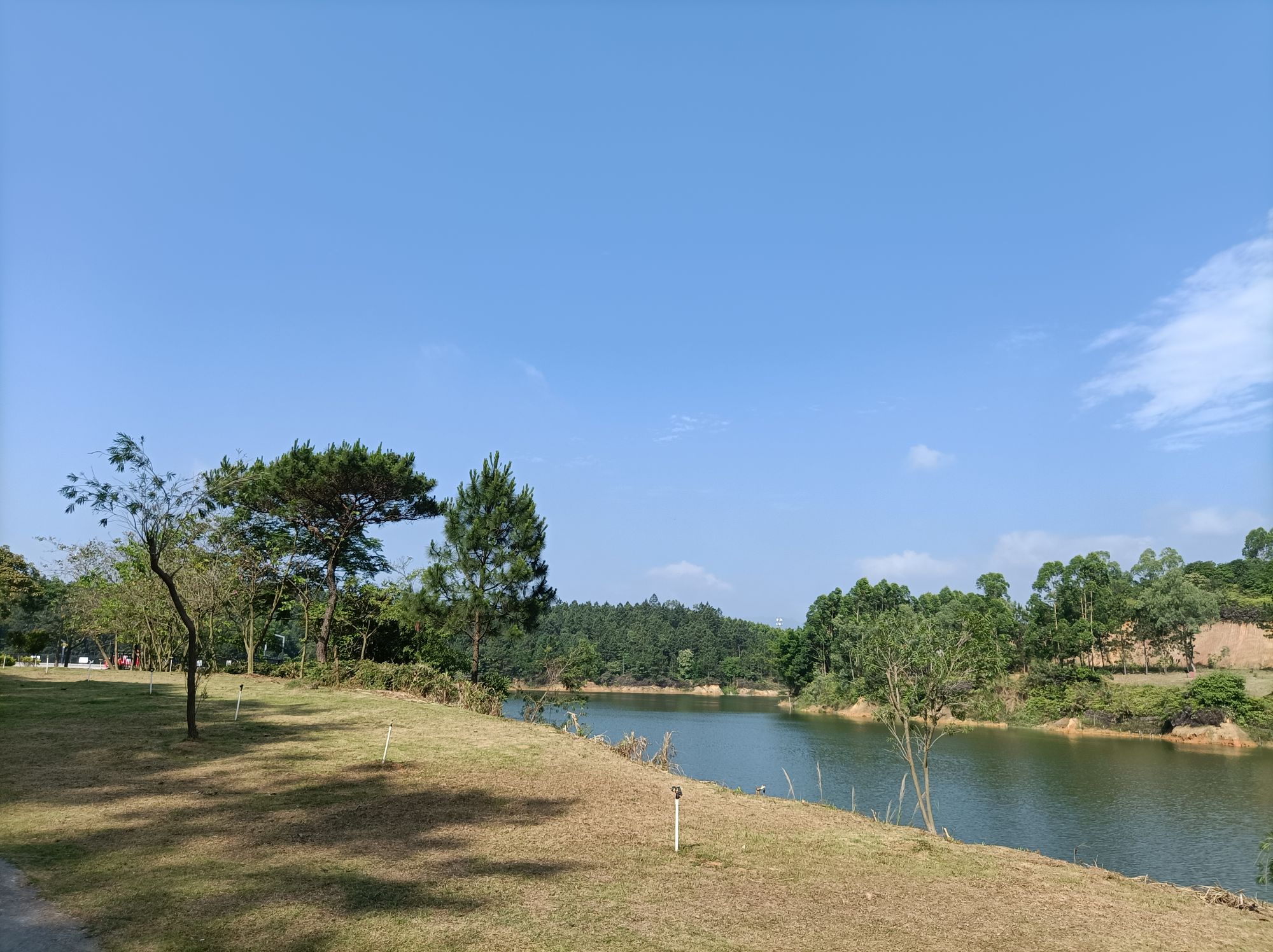 鹤城公园