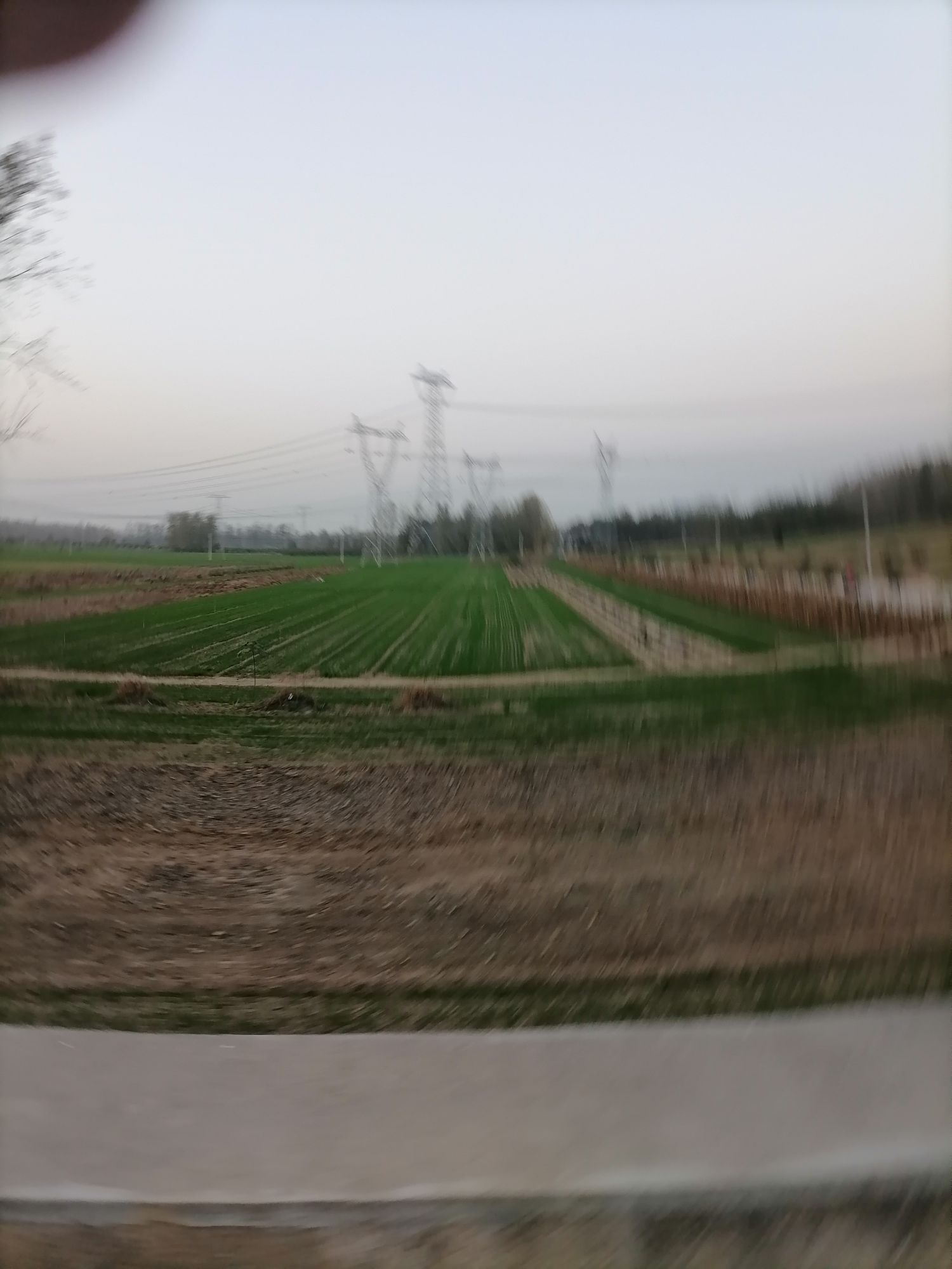 朱庄商店。