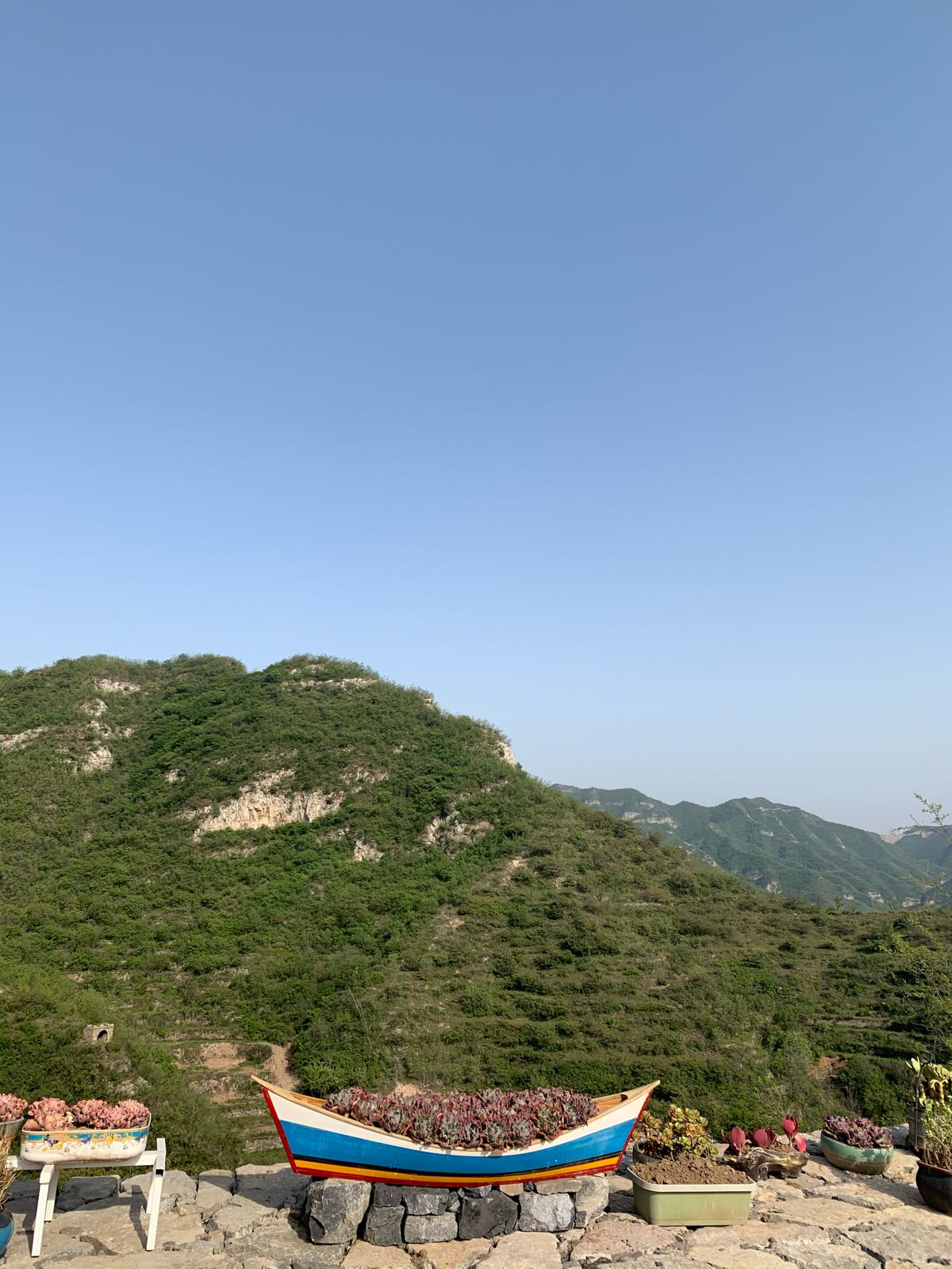 玛丽空中花园