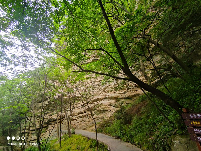 怎麼走): 十堰市丹江口市武當路附近湖北武當山國家地質公園南巖地質