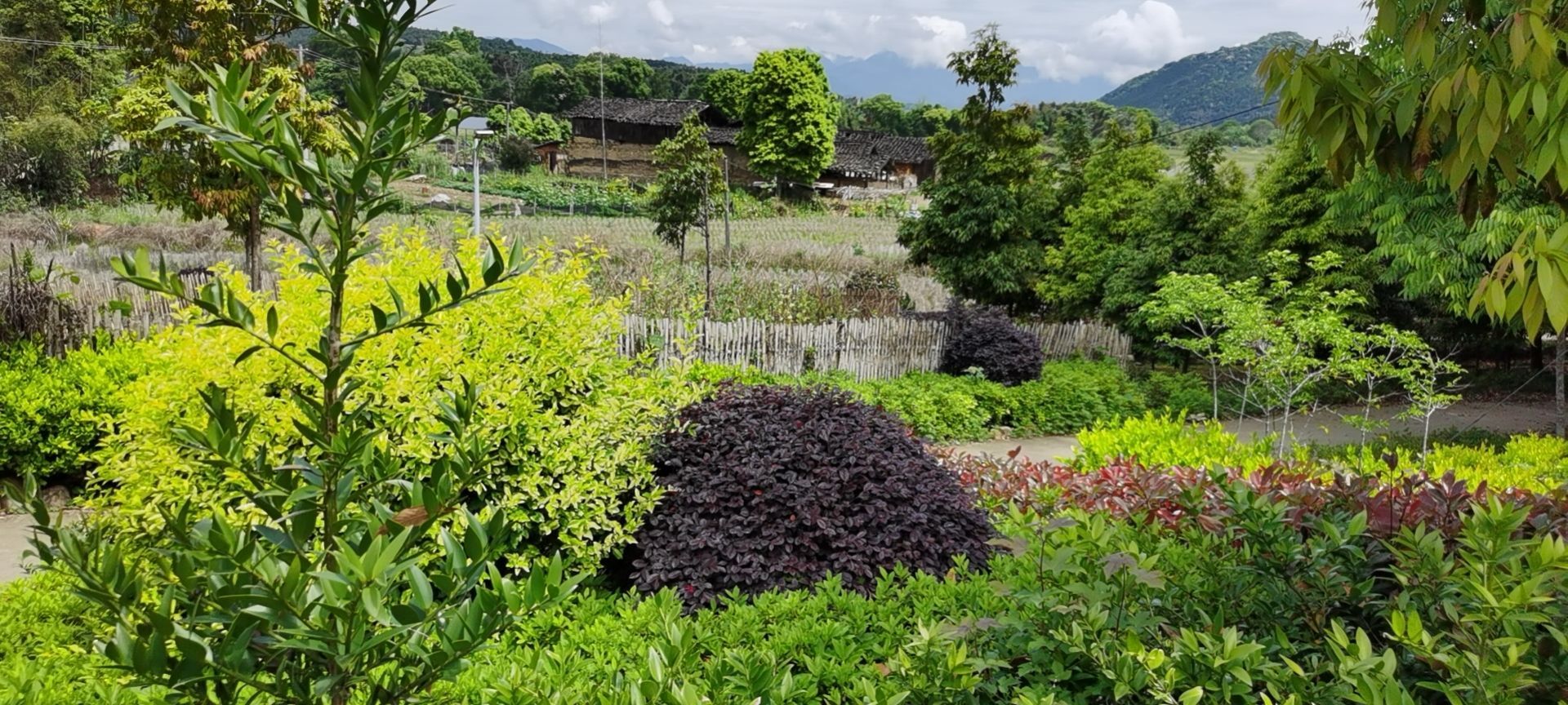 南平市建阳区