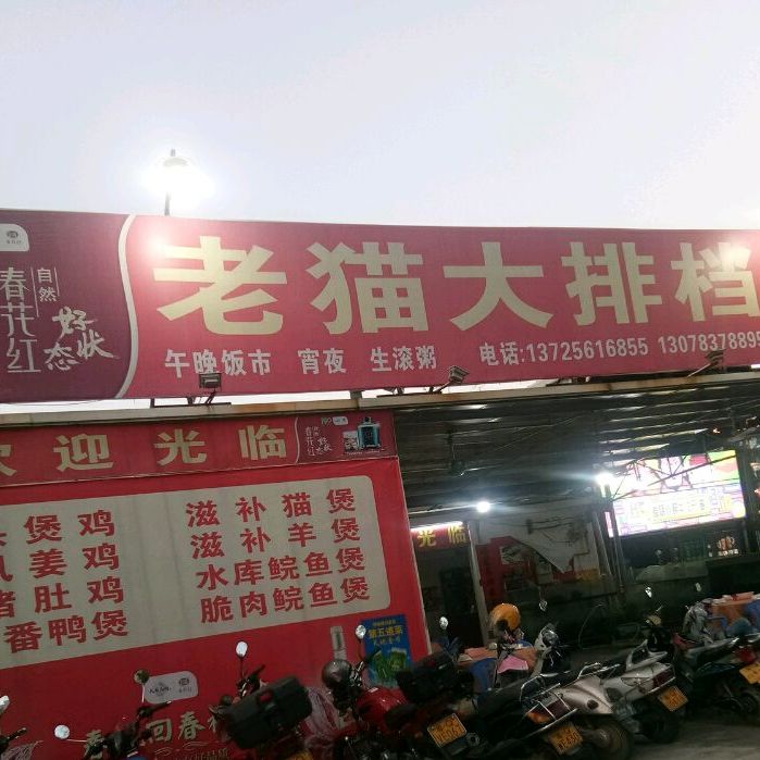 老猫大排档