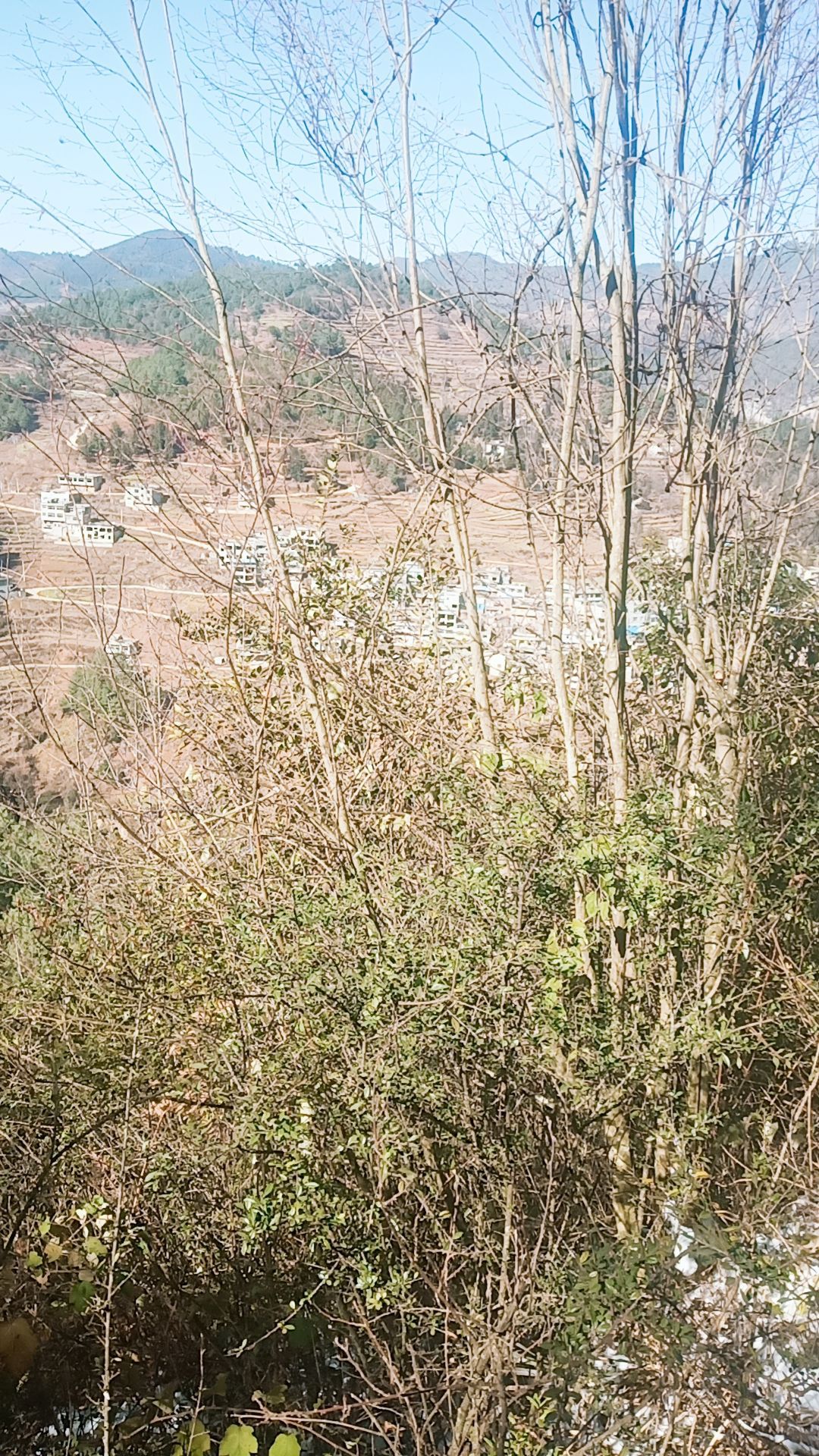 毕节市赫章县白果街道集中村独山岔路口