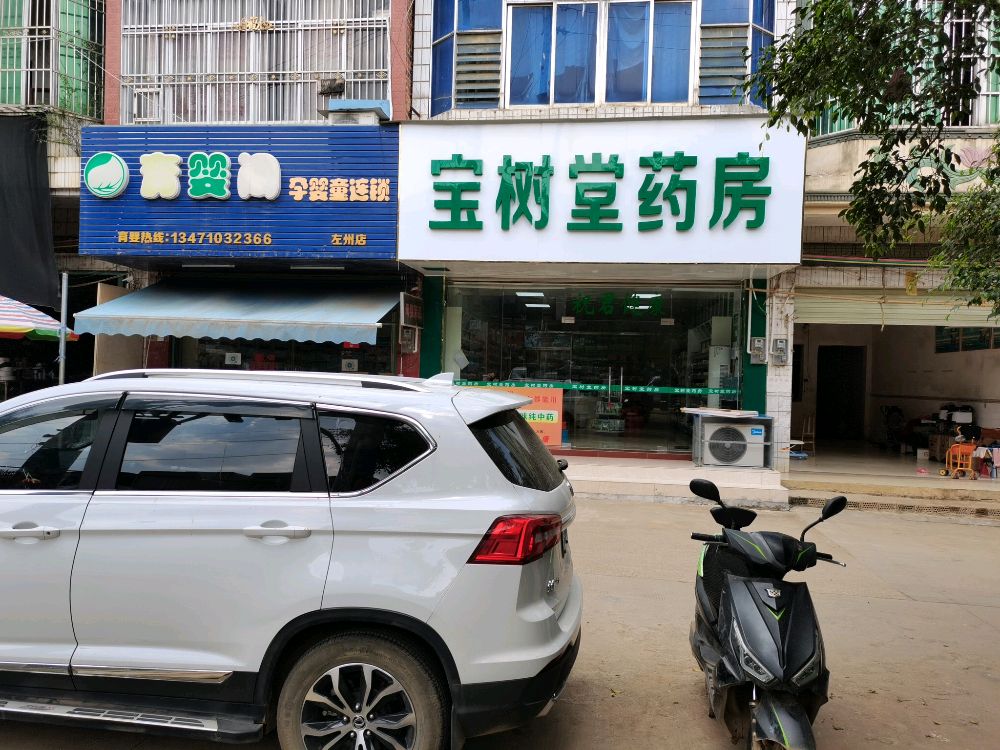宝树堂药房
