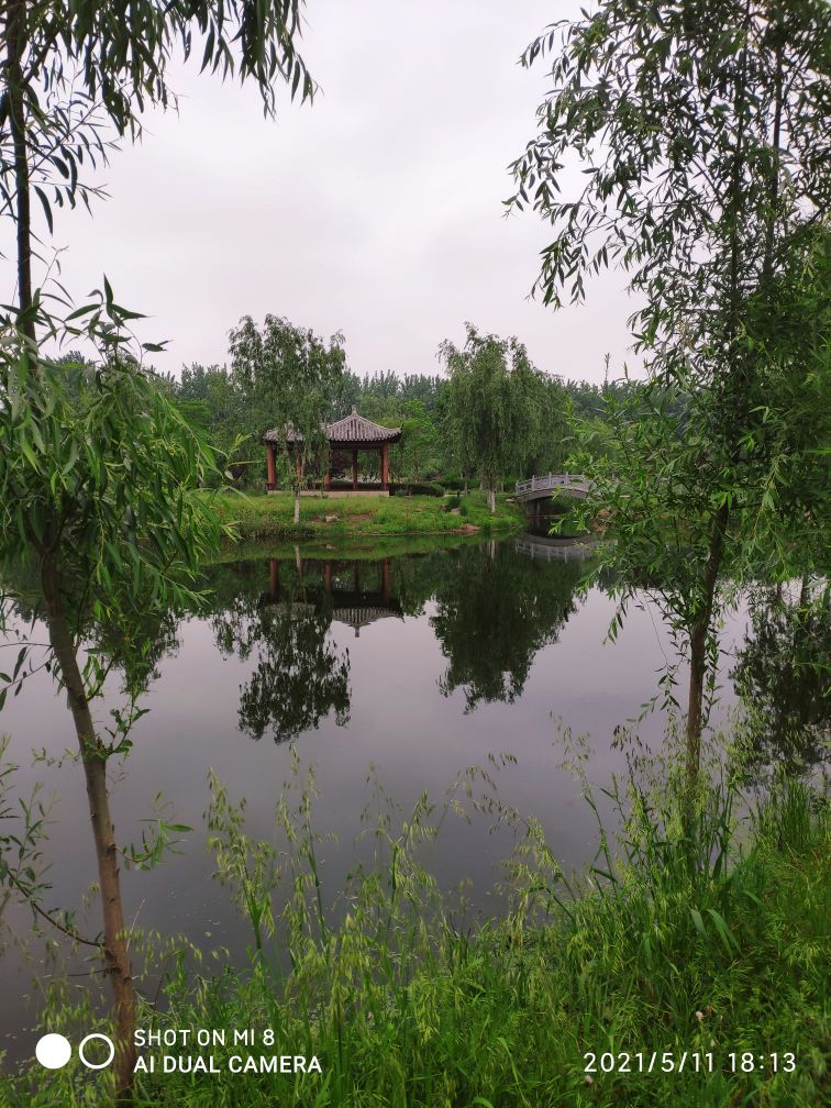 五河县龙湖公园