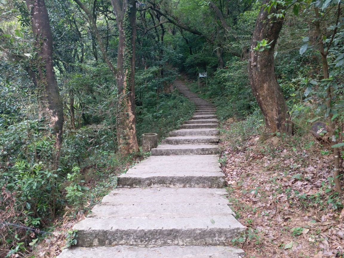 仙游天马风经区