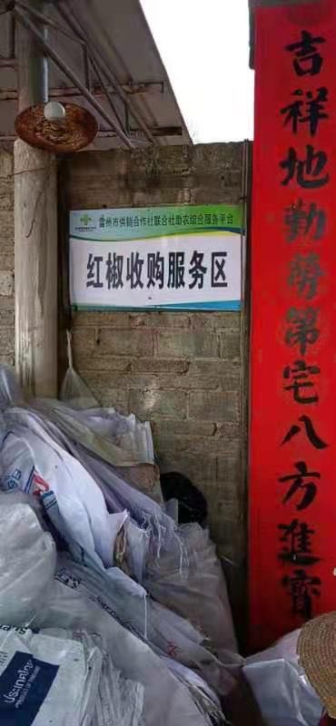 红椒收购服务区