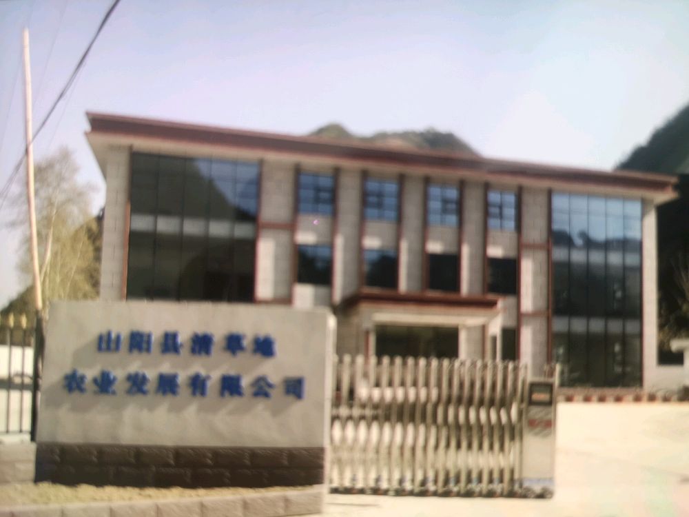 清草地有机草莓圆