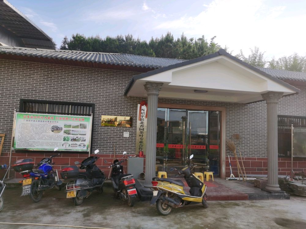 广西昭平北香园茶叶专业合作社