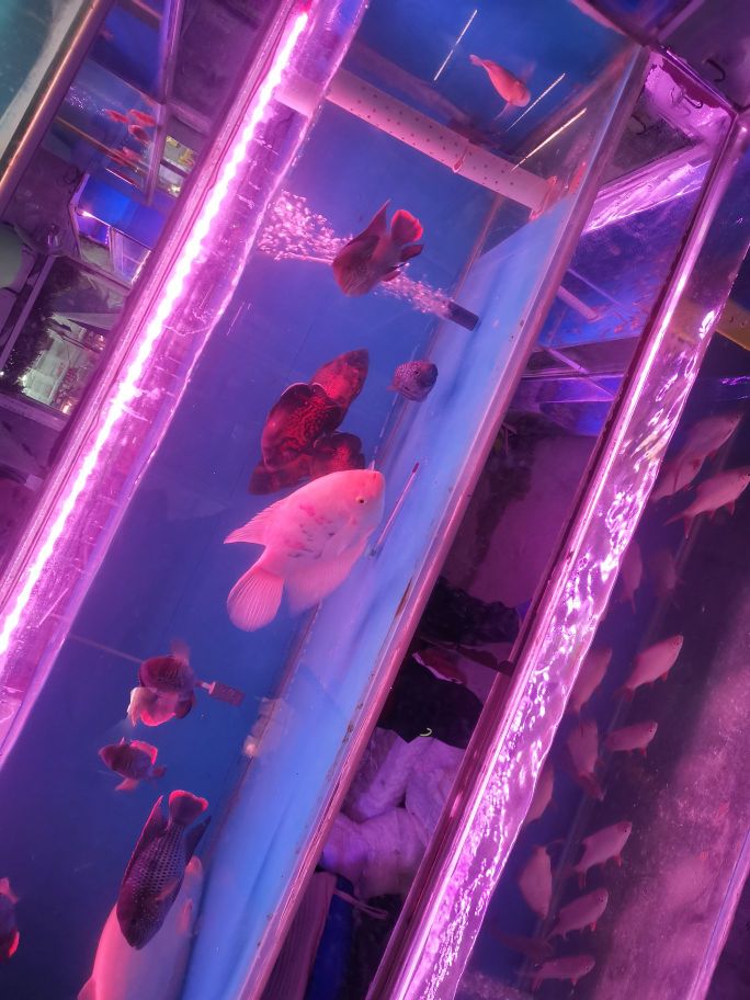 德好渔具水族太路店