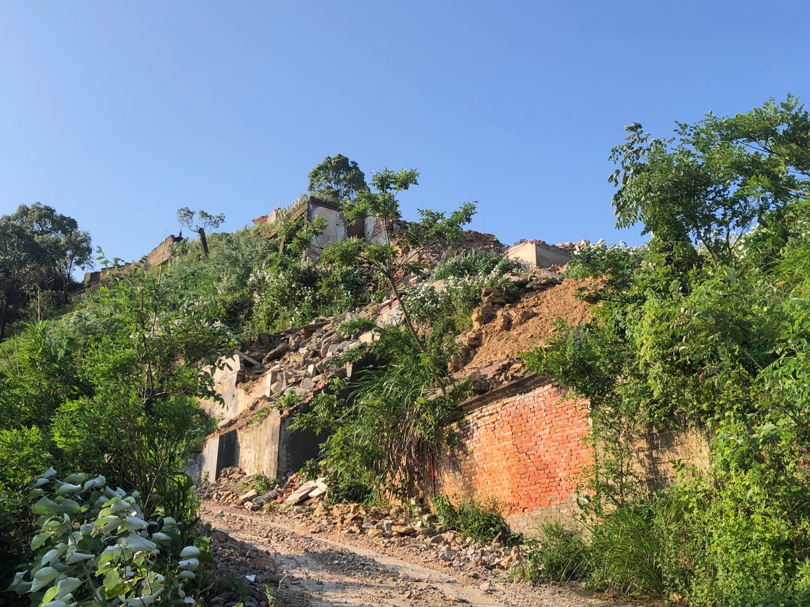 青叶寺