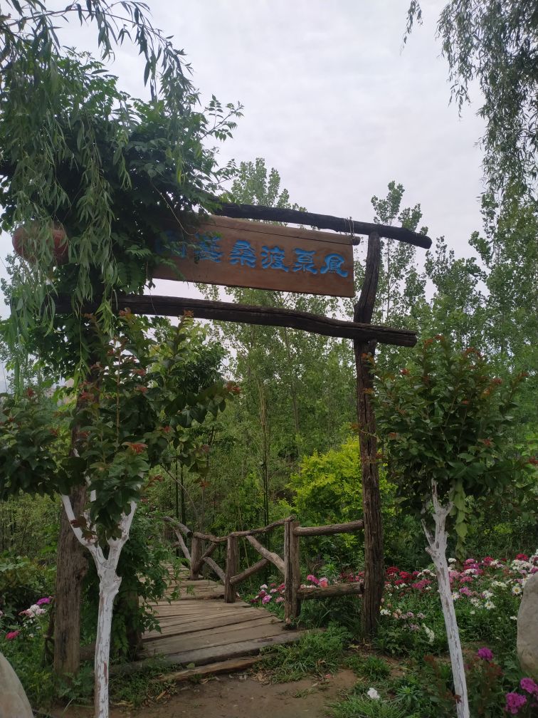 凤泉渡桑葚