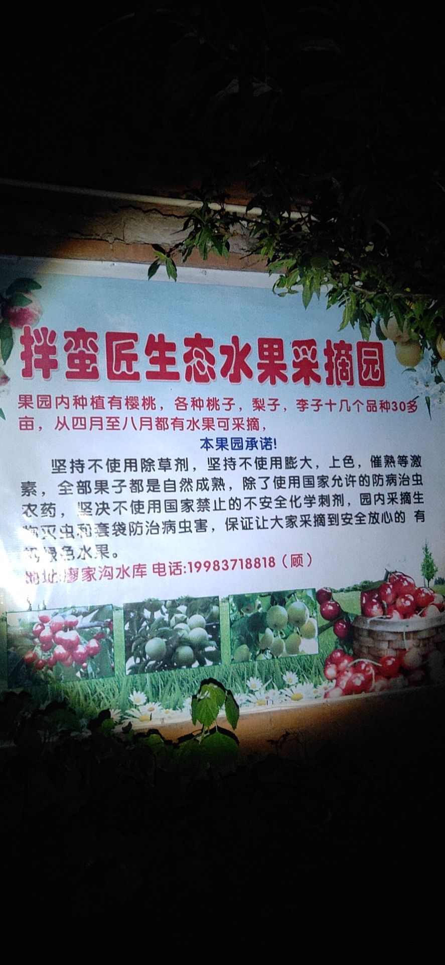 拌蛮匠生态水果采摘园