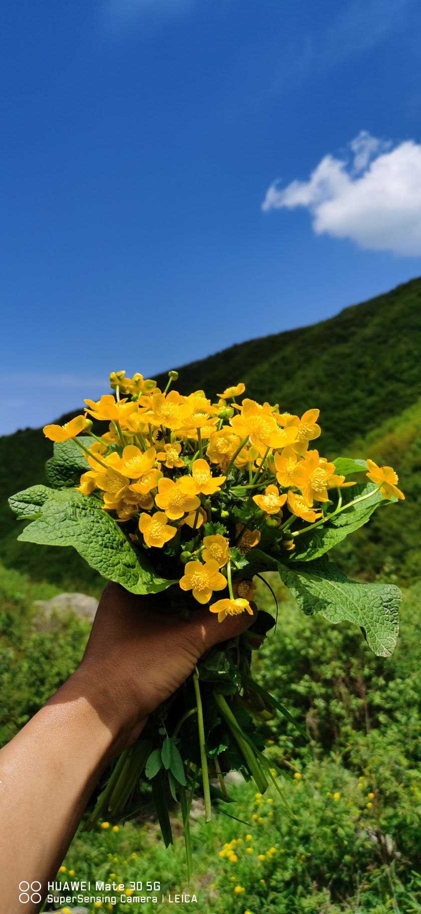 甘肃省天水市武山县孙白村