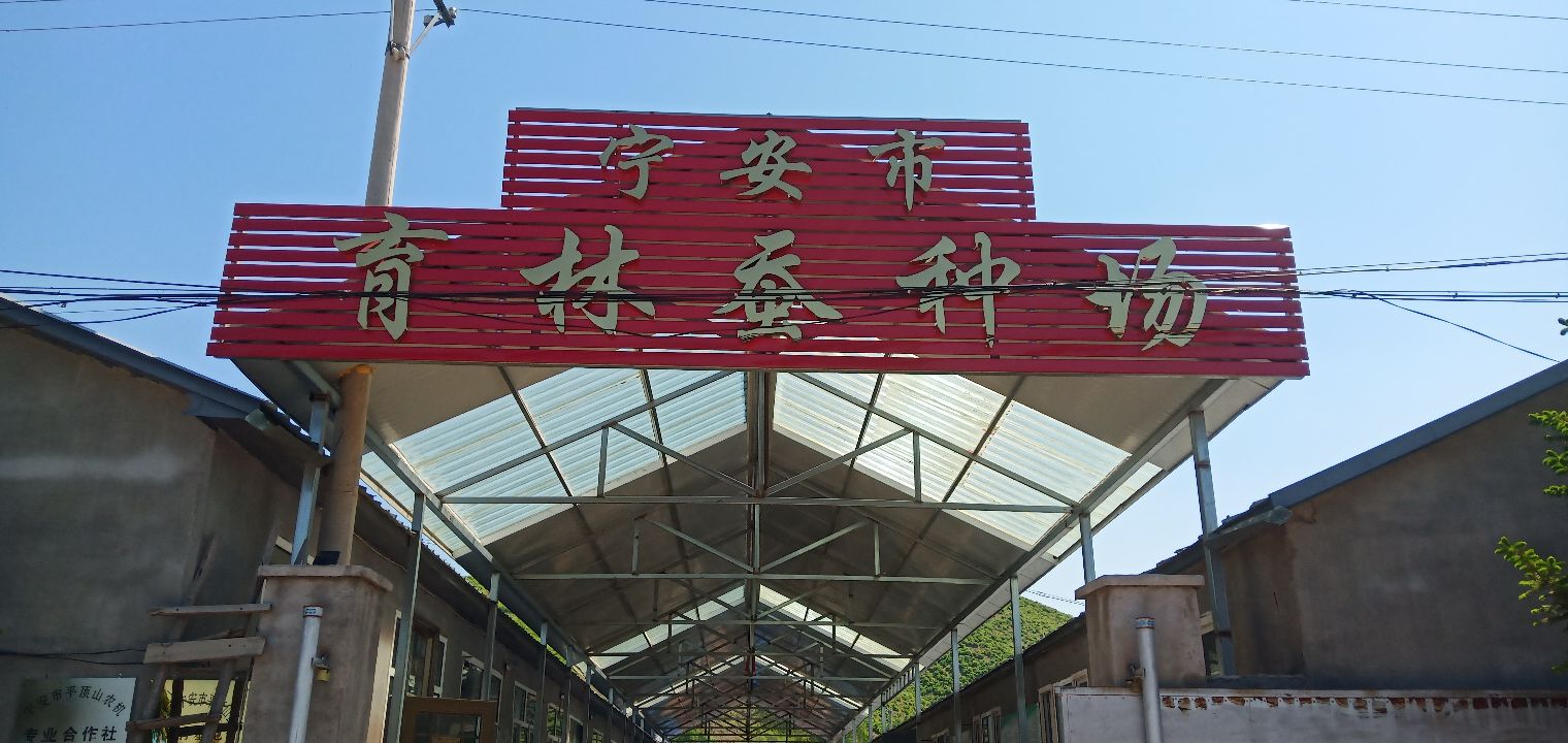 牡丹江市宁安市