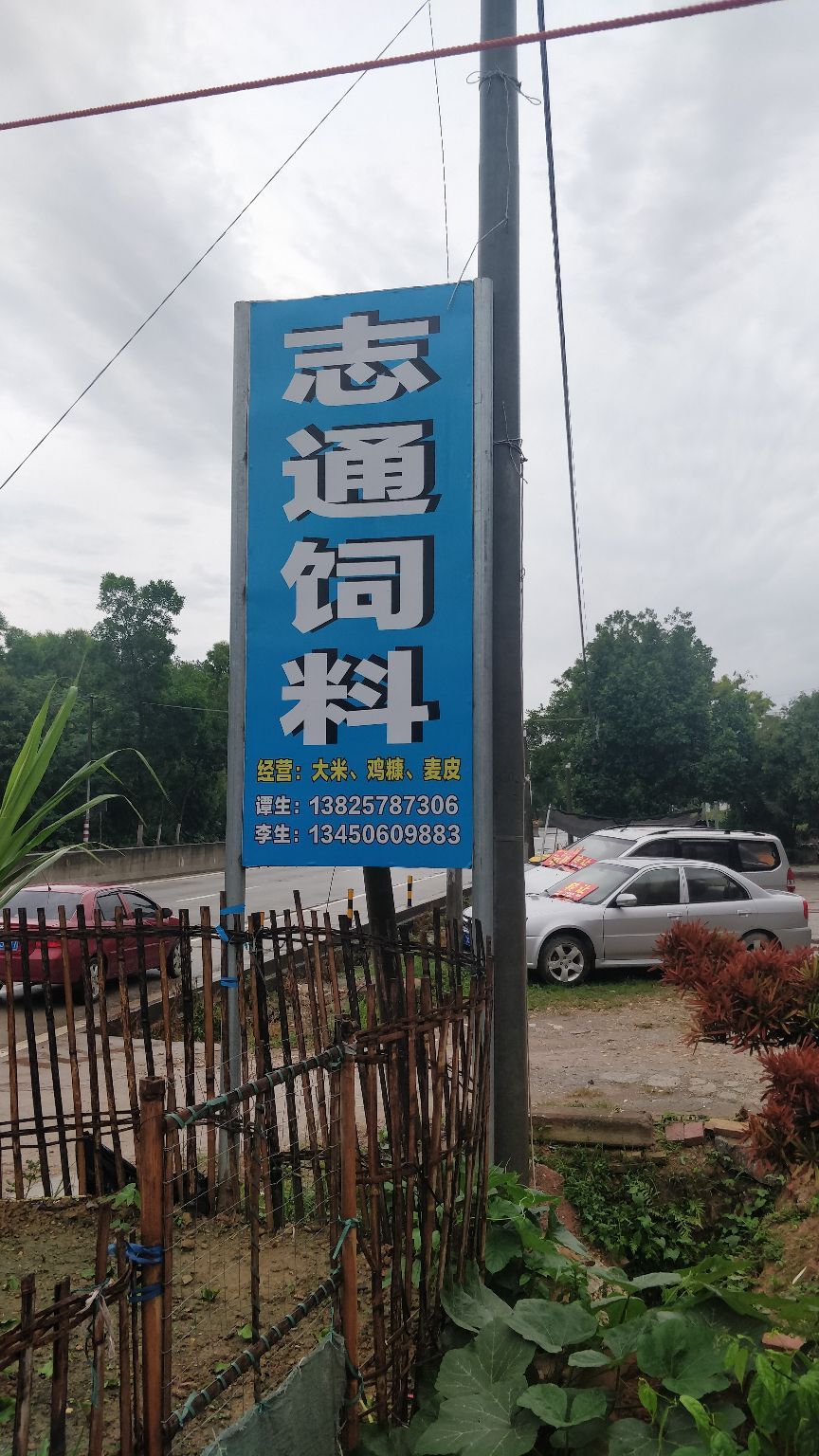 广东省茂名市高州市大井镇志通饲料