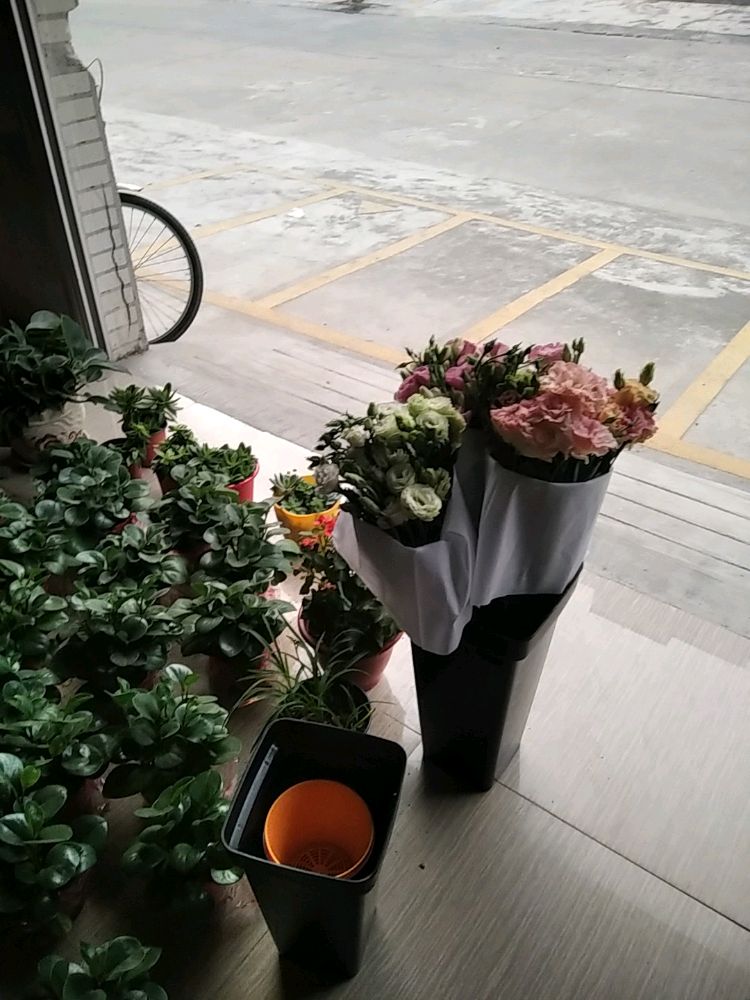 水益花鲜花绿植