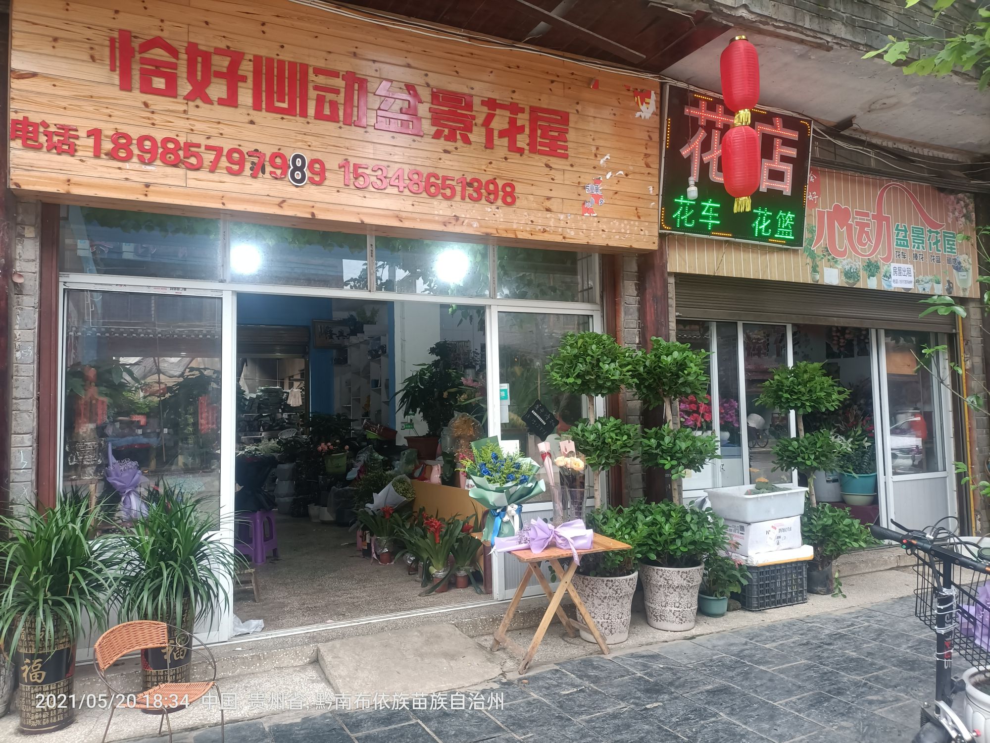 恰好心动盆景花屋