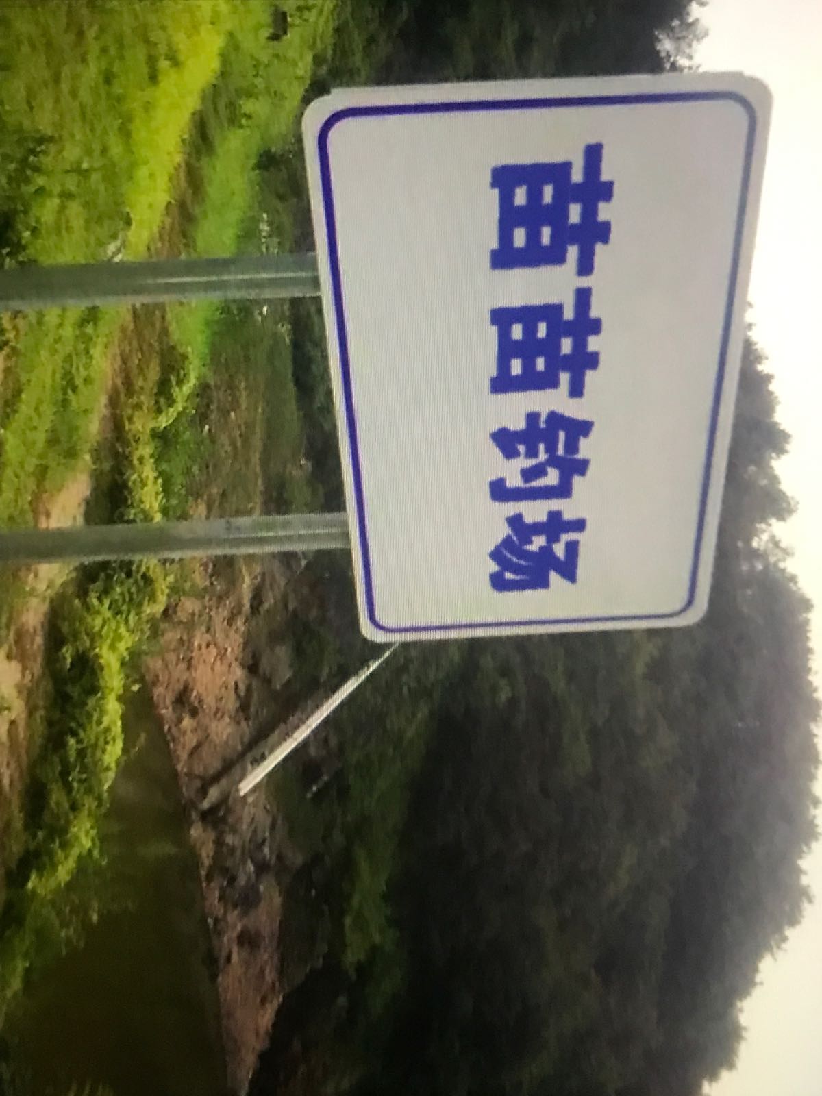 苗苗钓场