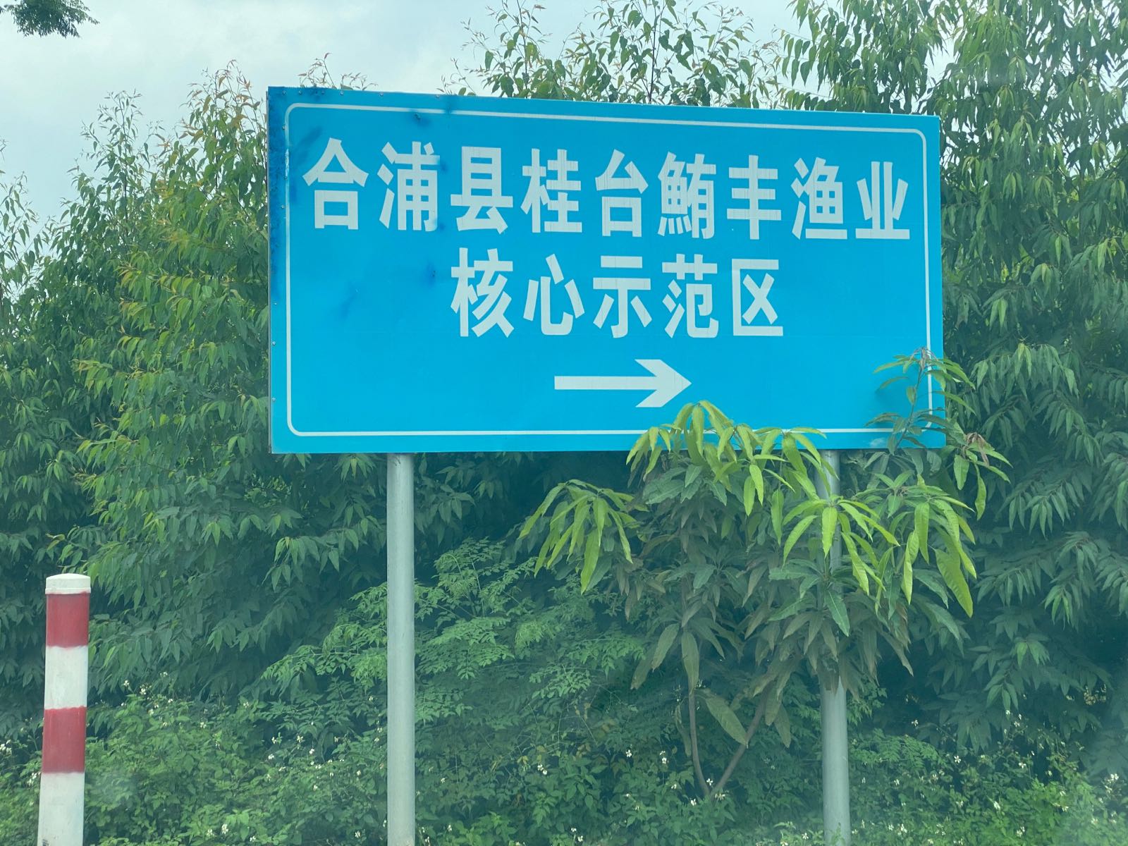 广西北海市鲔丰水产有限公司