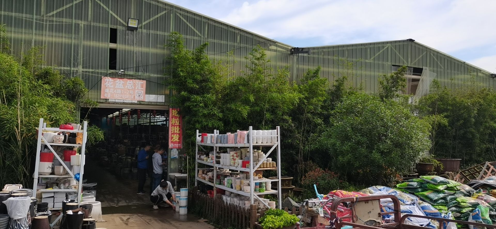 花盆总汇