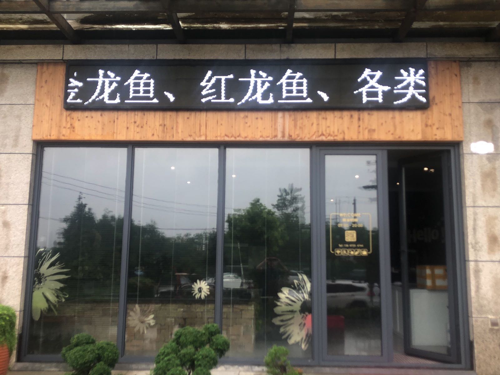 龙昇水族馆
