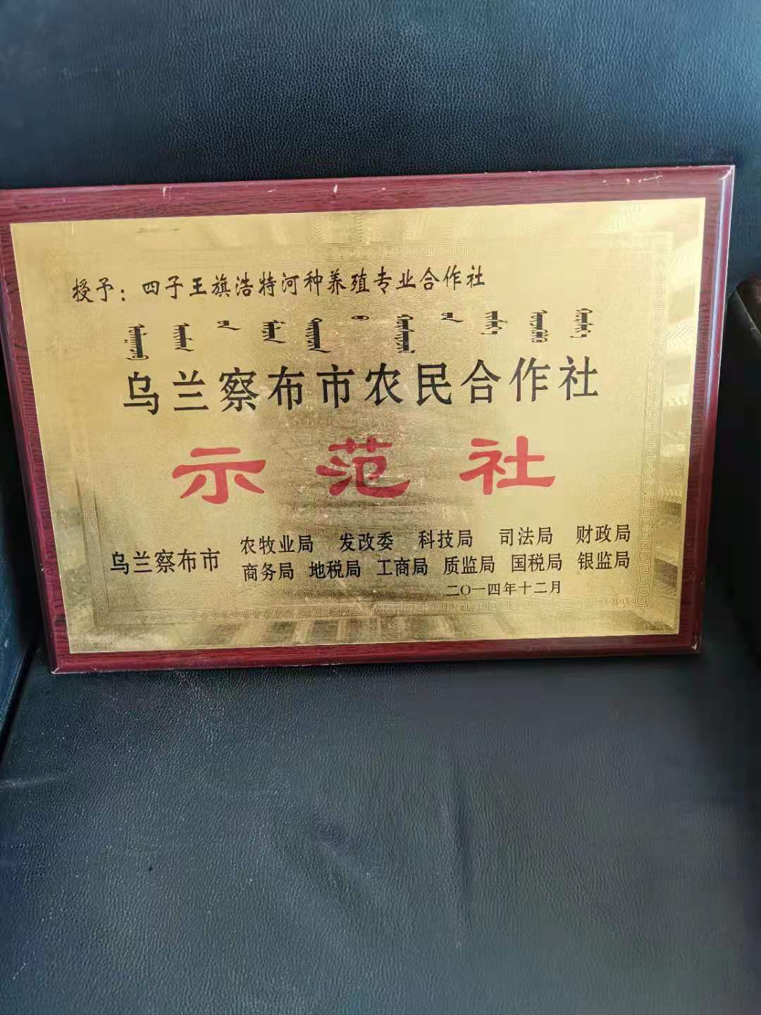 内蒙古自治区乌兰察布市四子王旗红格尔苏木白音花嘎查