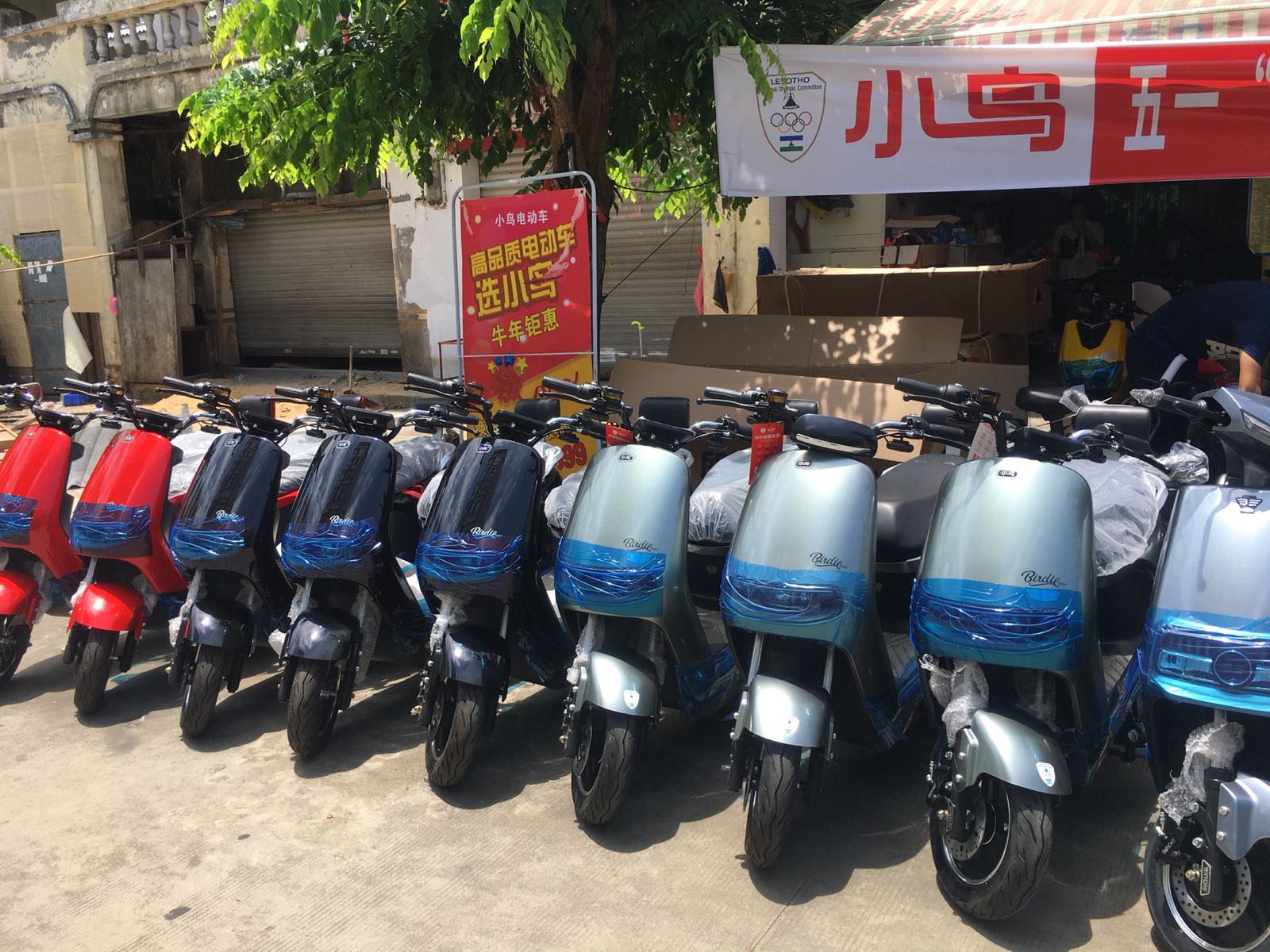 博鳌海马(小鸟,欧派)摩托车电动车批发零售店