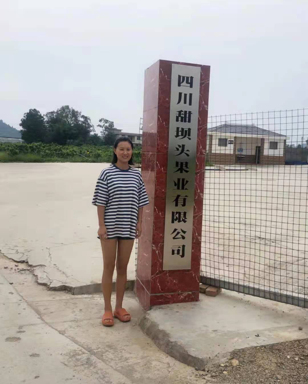 甜坝头果业