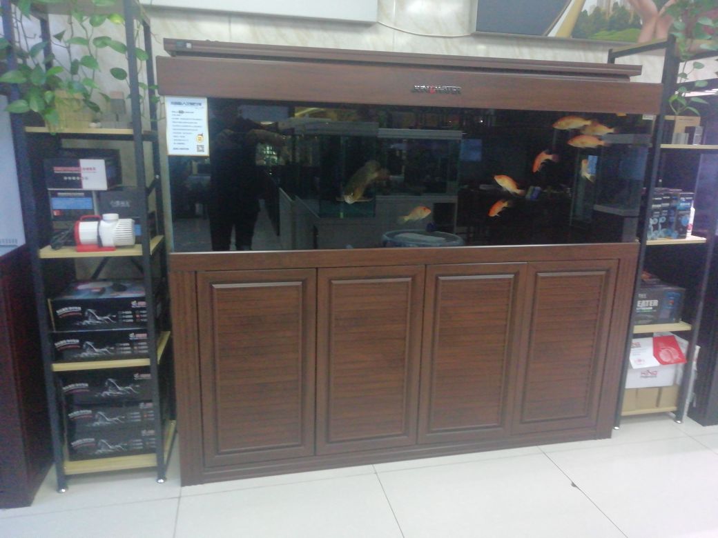 金淼旺水族生活馆
