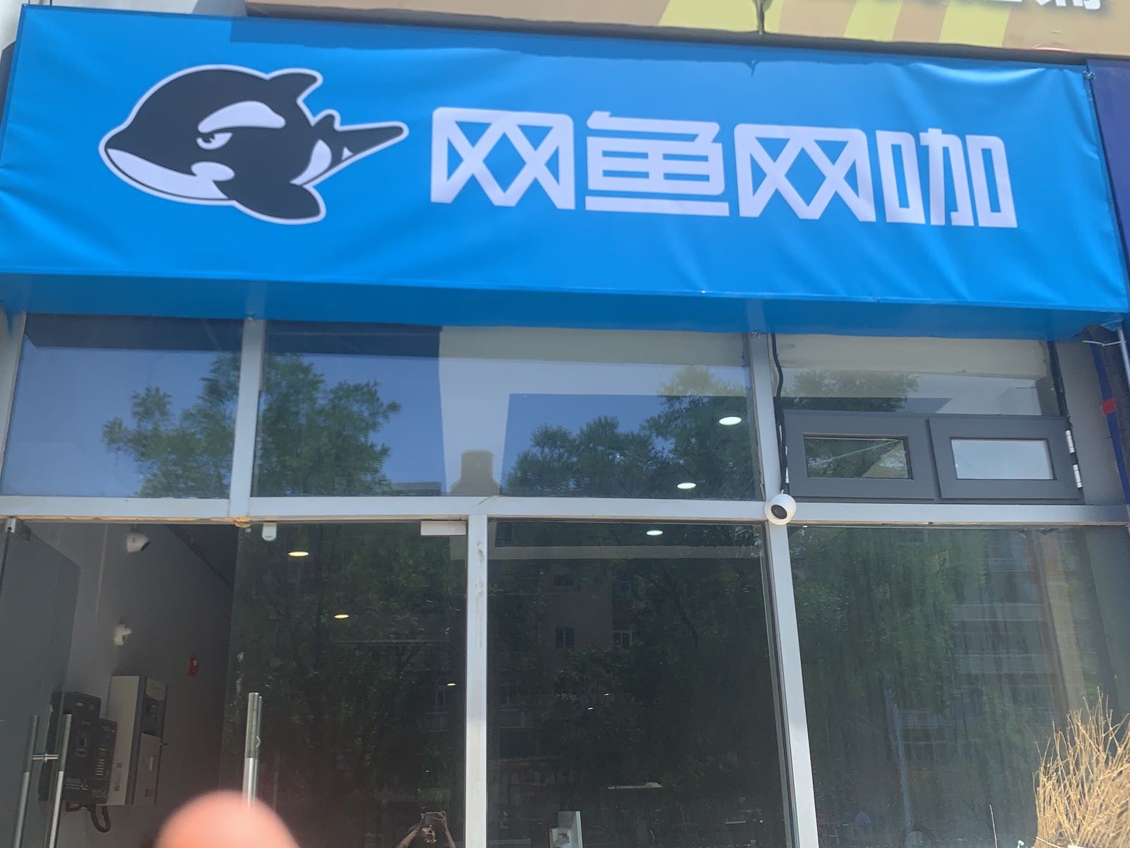 网鱼王卡(南开西北角店)