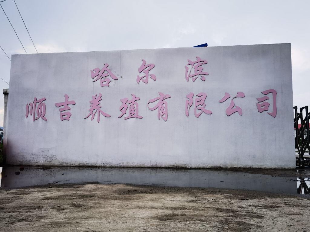 哈尔滨站市顺吉养殖有限公司