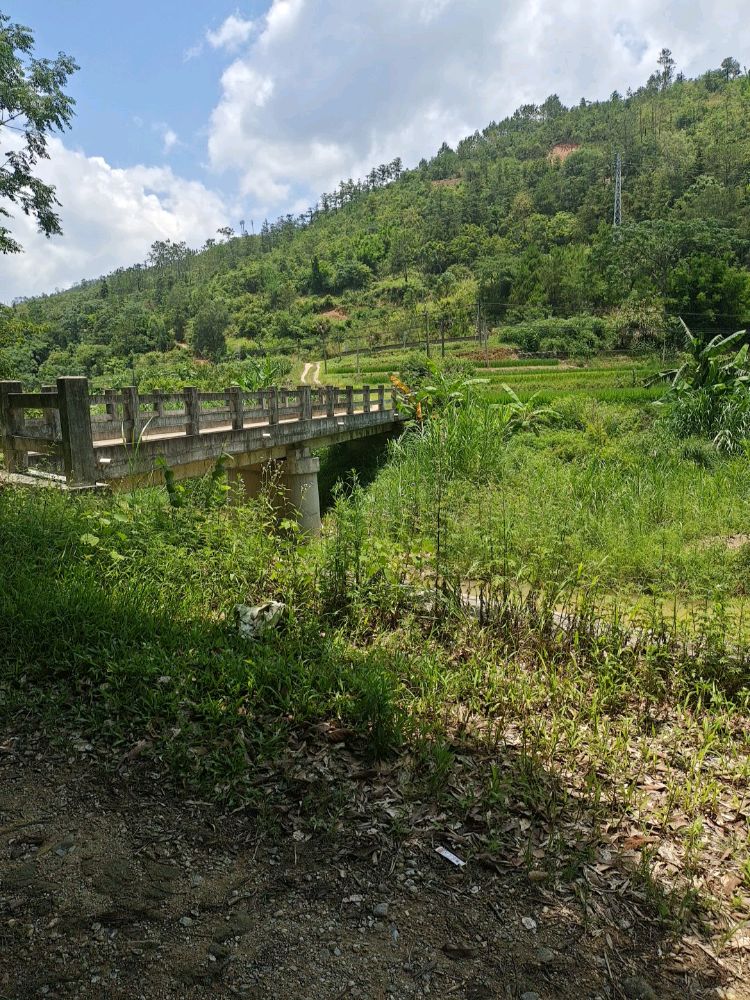 广东省信宜市白石镇白鸡村田广垌村