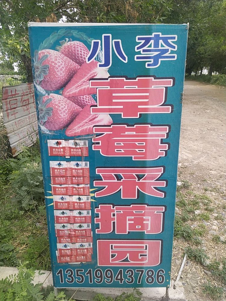 小李草莓采摘园