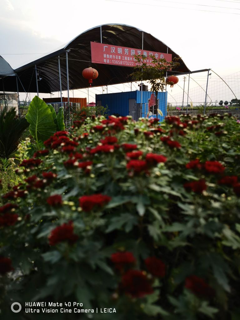 明芳园艺垂钓中心