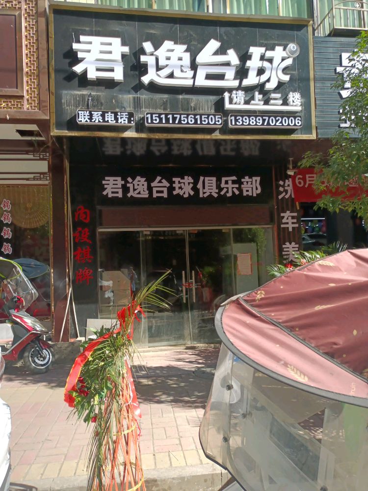 君逸台球