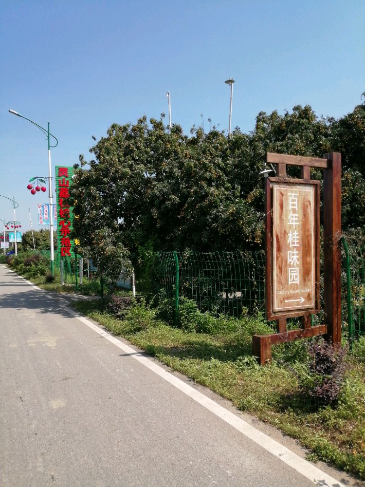灵山县龙武农场百年桂味园