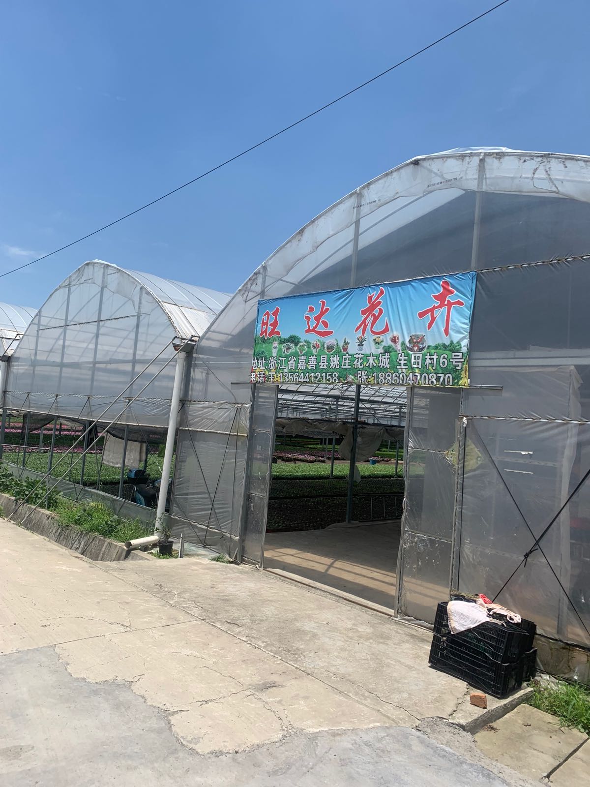 旺达花鸟