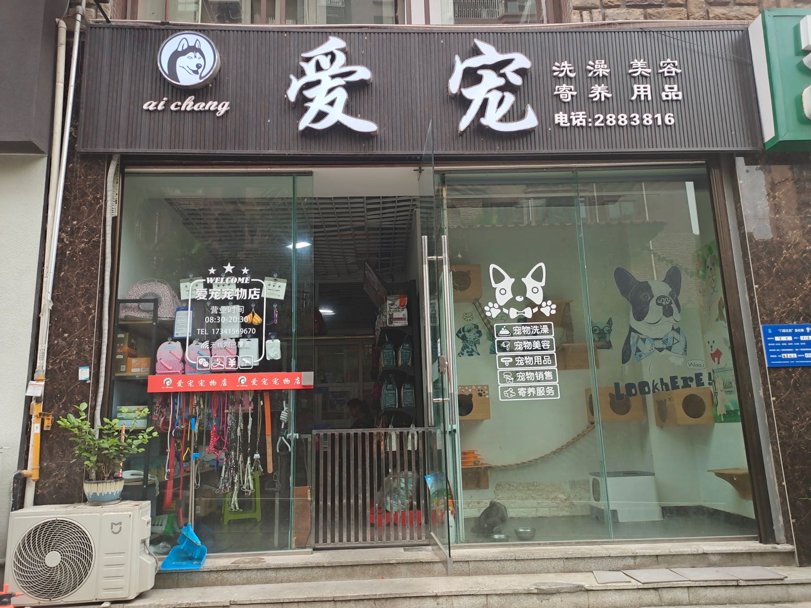 爱宠宠物店