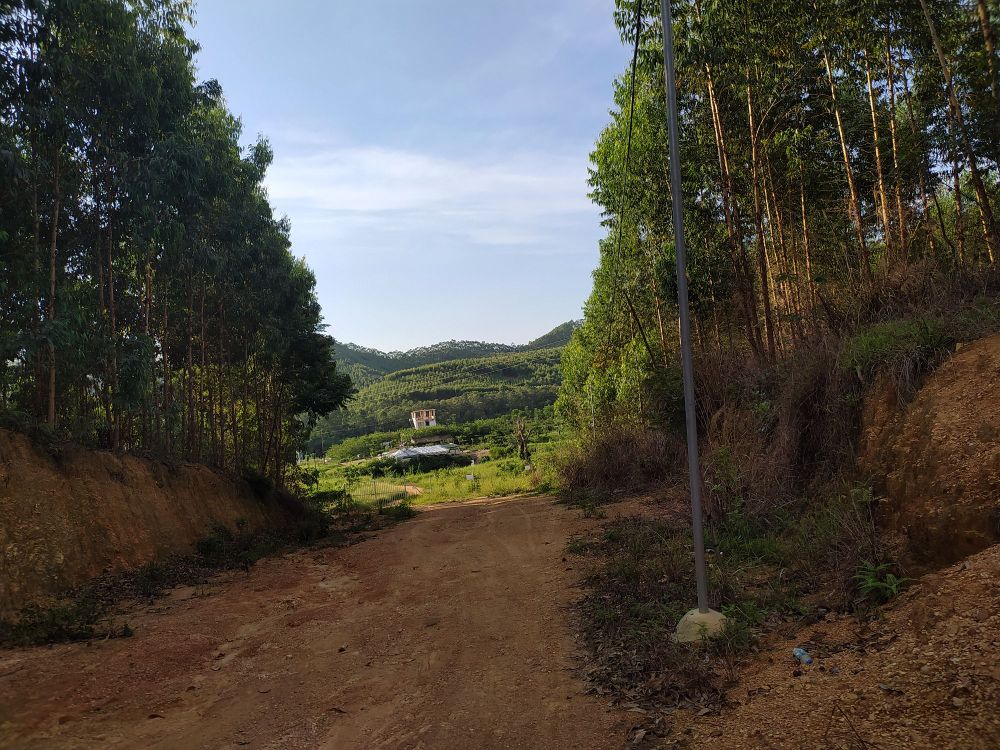 湛建生态动物园