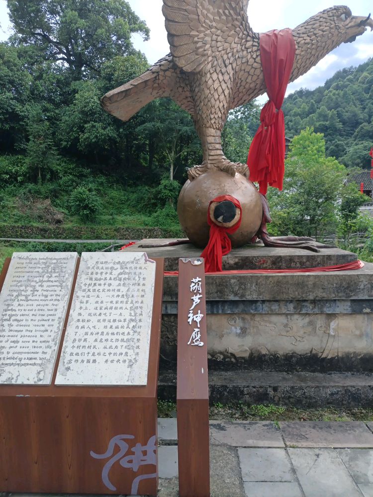 葫芦神鹰