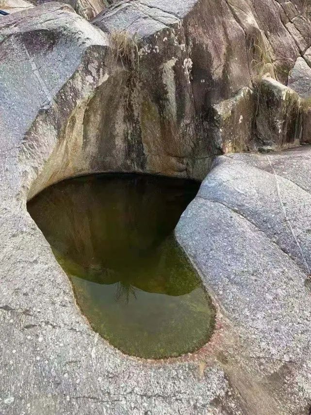 广东省茂名市高州市