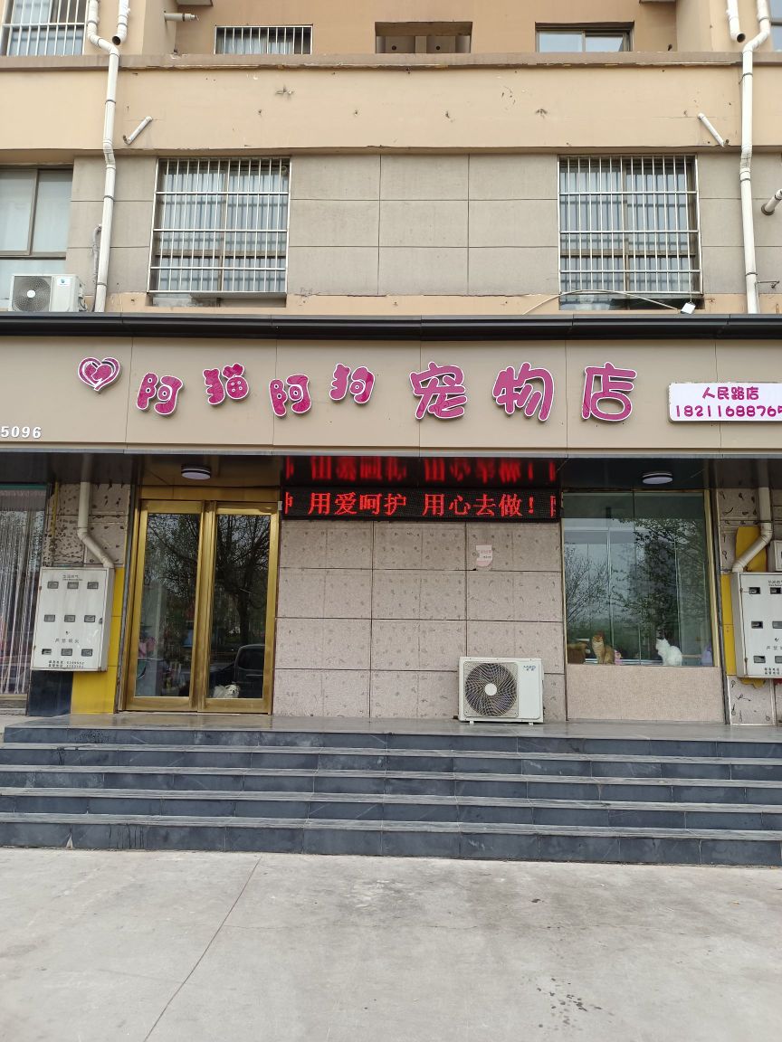 阿猫阿狗宠物店(人民路店)