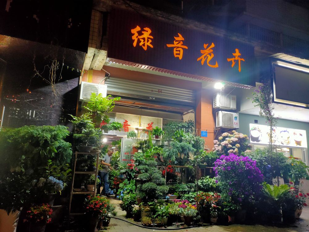 绿音花卉