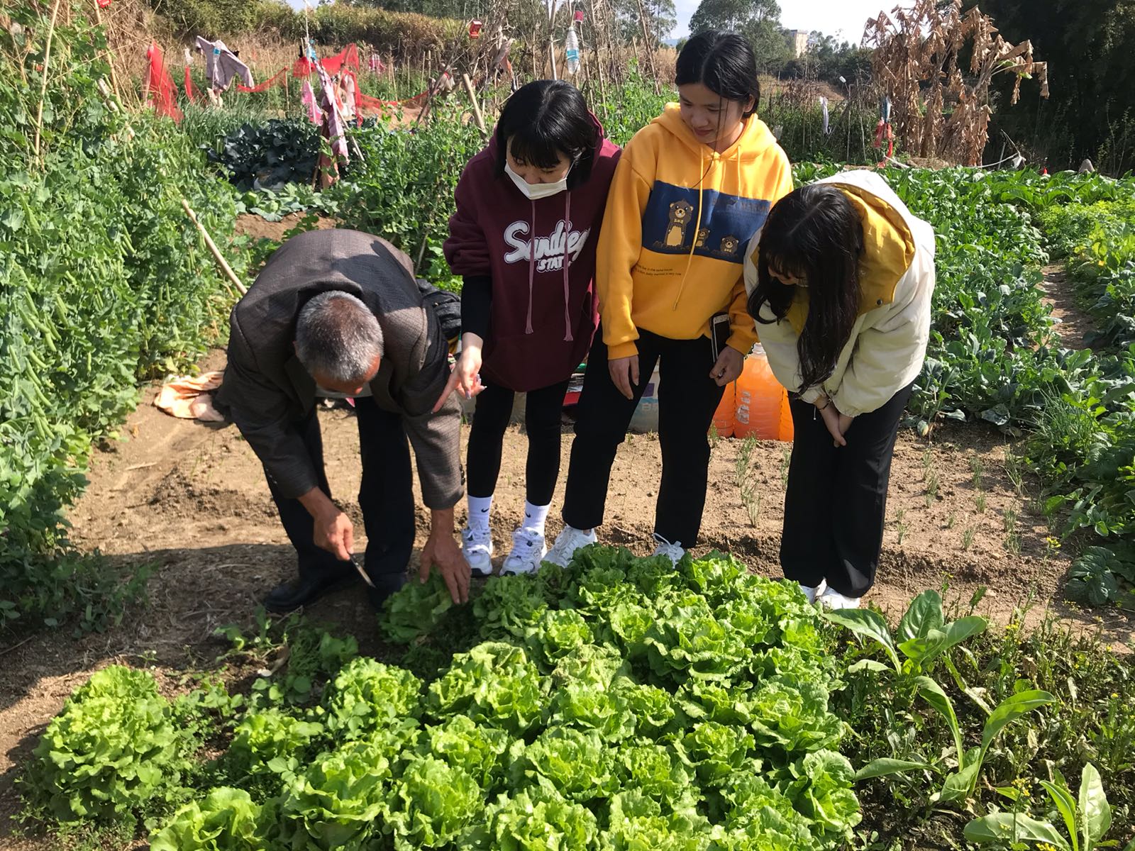 揭阳市普宁市