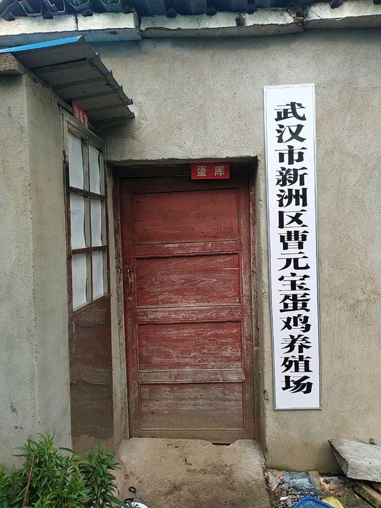 武汉市新洲区曹元宝蛋鸡养殖场