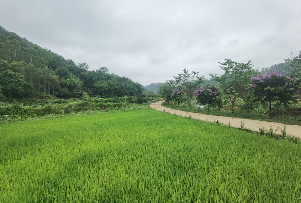 天子山森林公园