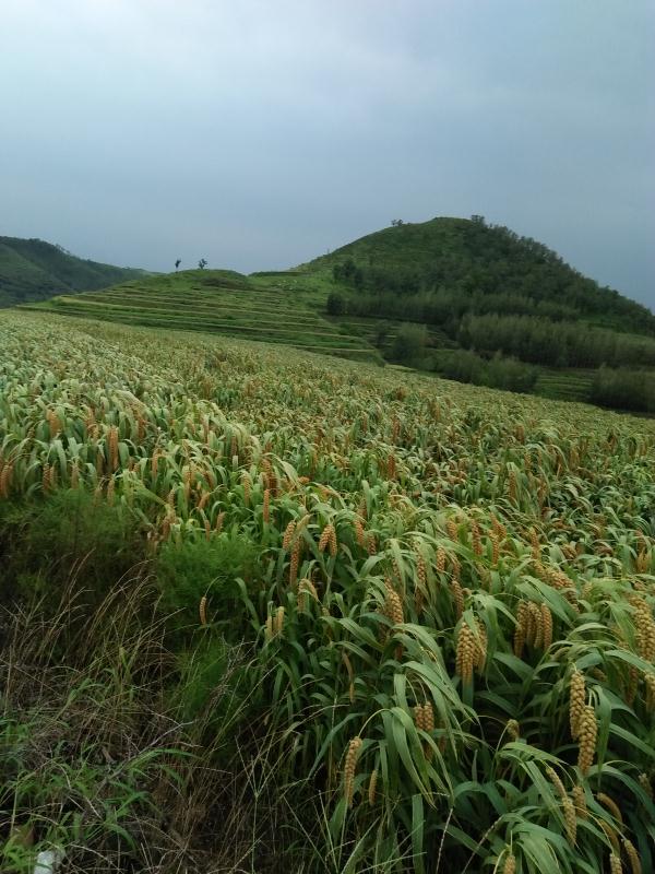 山里人家民宿店